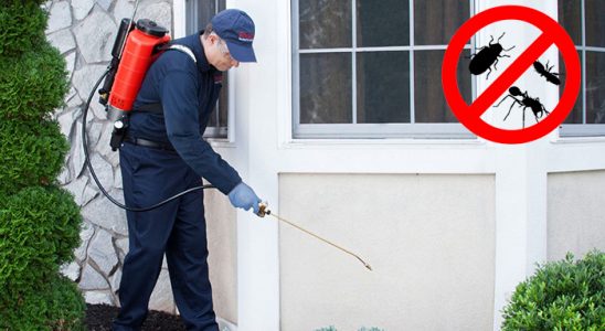 Karamanlı Karınca İlaçlama böcek ilaçlama ve haşere kontrolü — ilaclama-tr.com